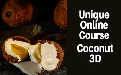Coconut 3 D